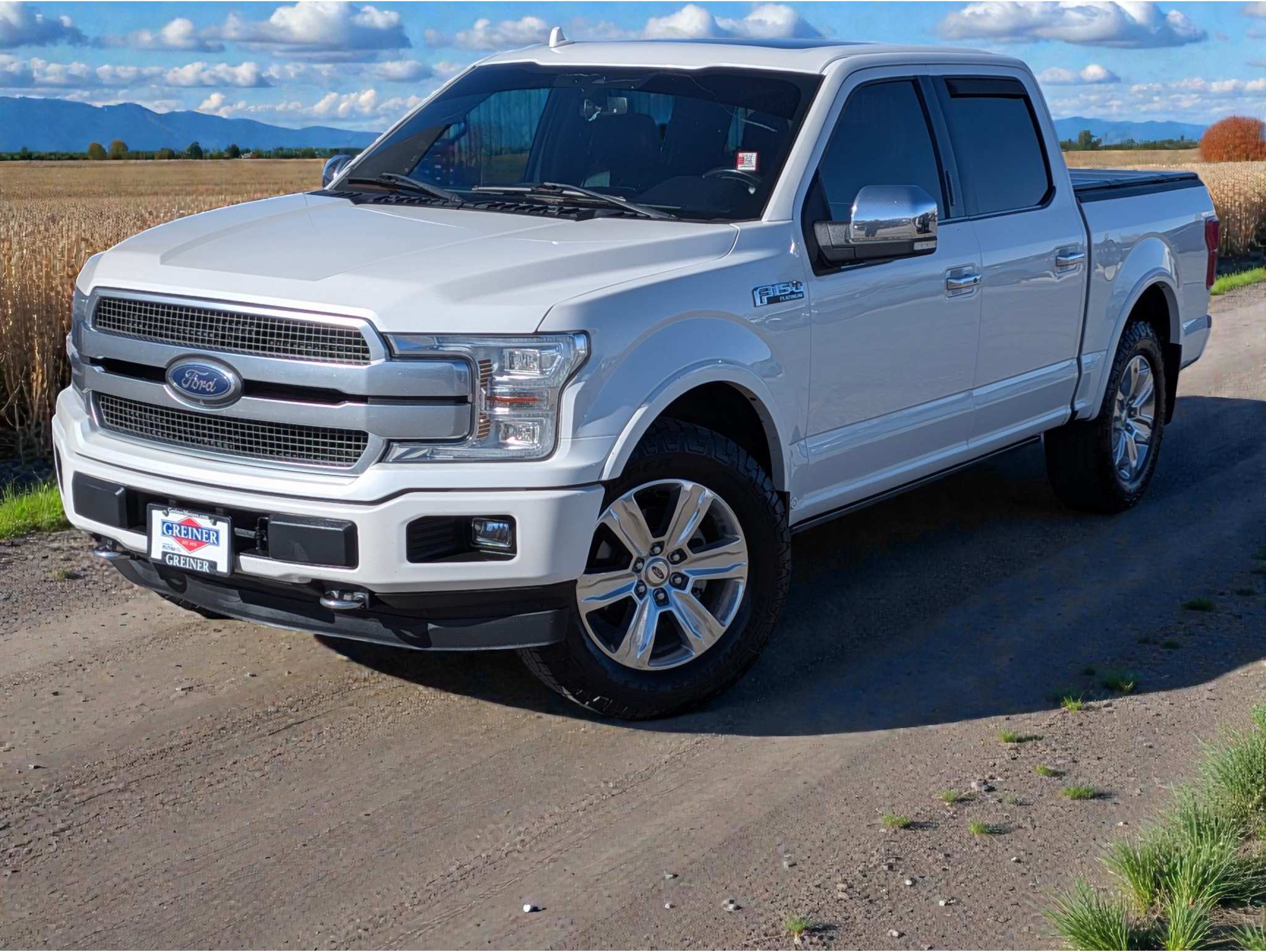 2019 Ford F-150 Platinum