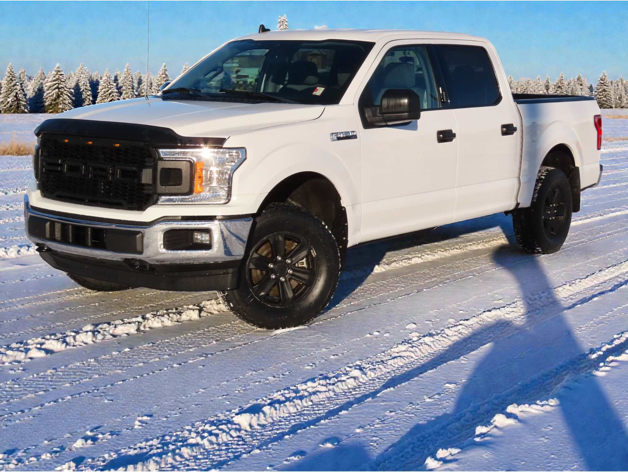 2019 Ford F-150 XLT's photo