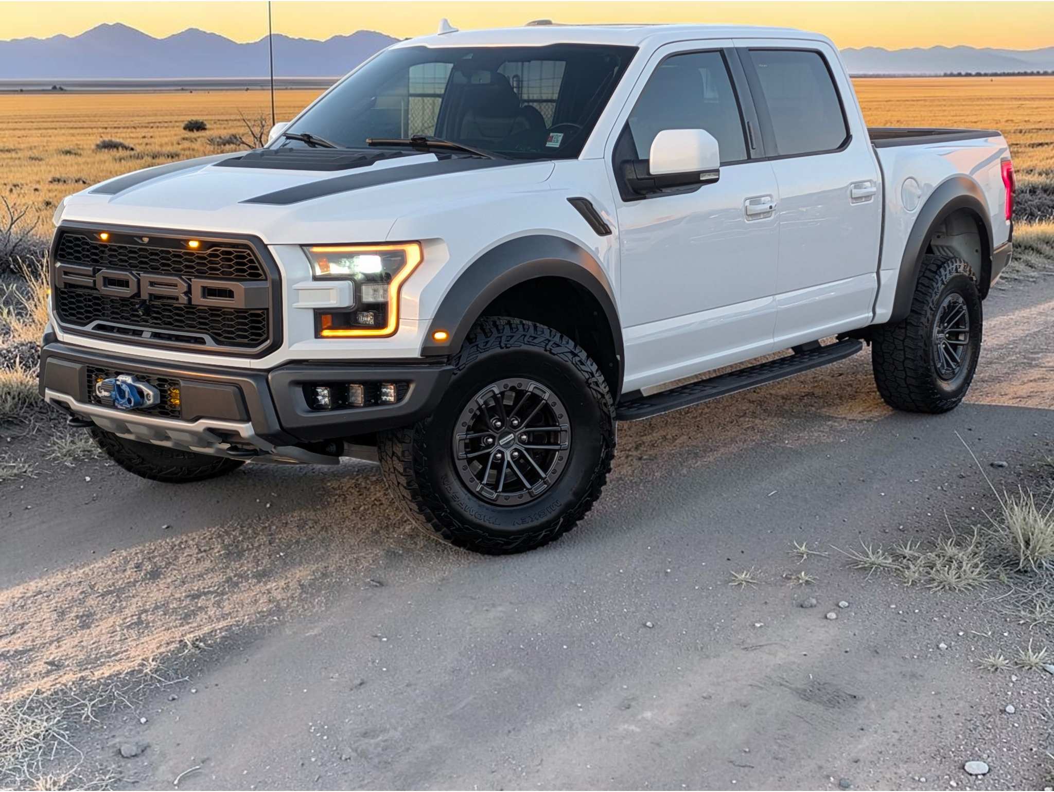 2020 F-150 Raptor