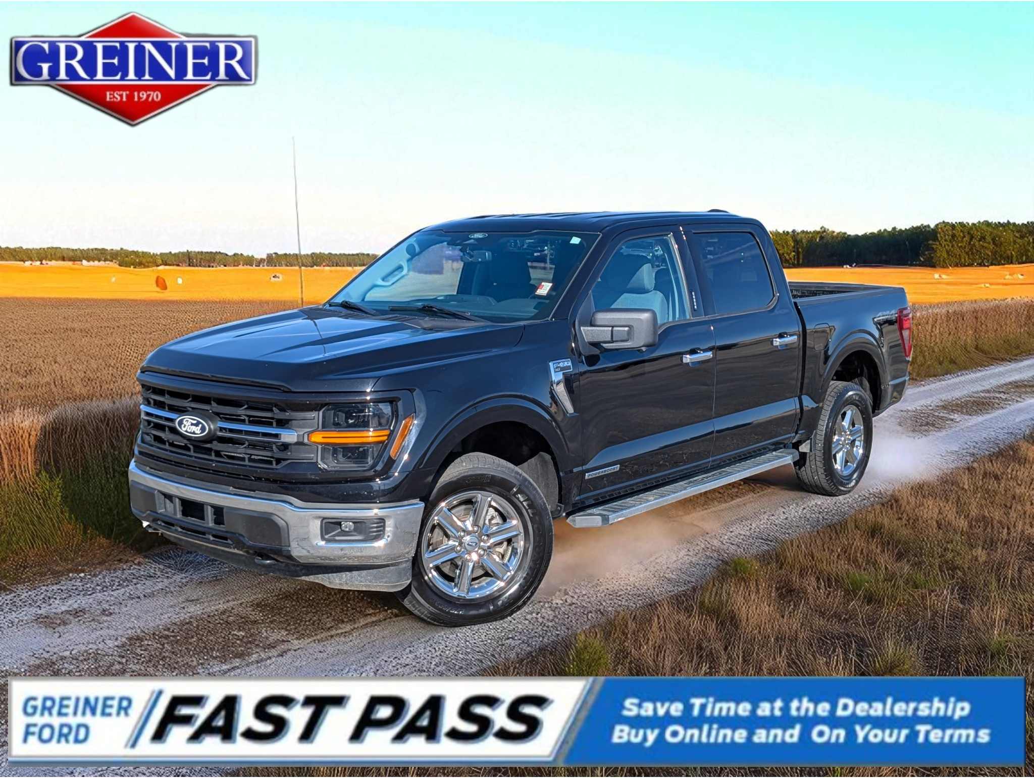2024 Ford F-150 XLT's photo