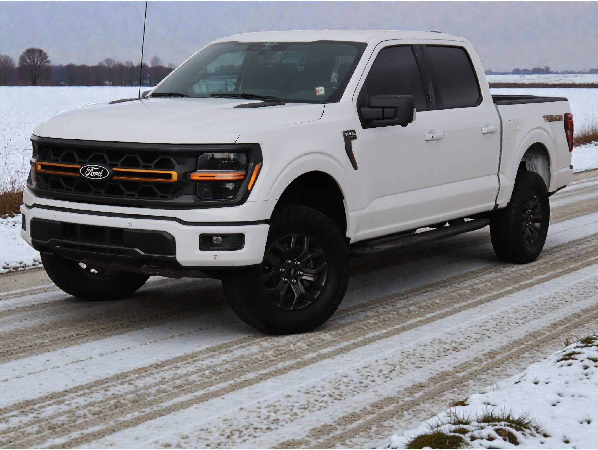 2024 Ford F-150 Tremor's photo