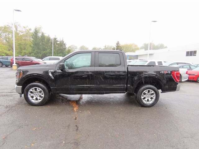 2023 Ford F-150 XLT's photo