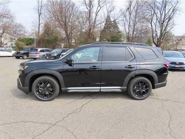 2025 Honda Pilot Touring's photo