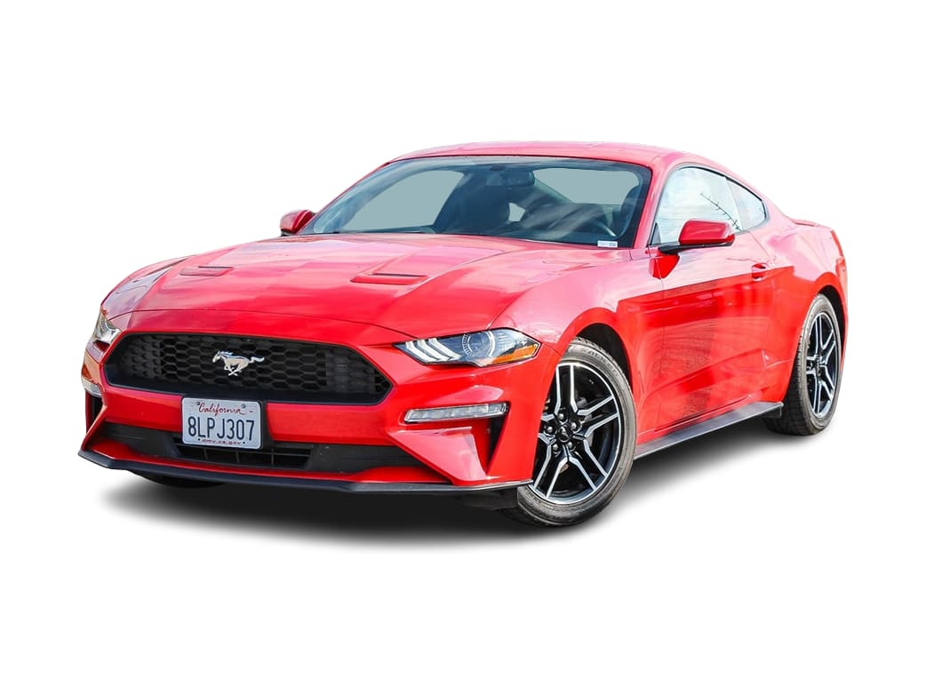 2019 Ford Mustang  -
                Calabasas, CA