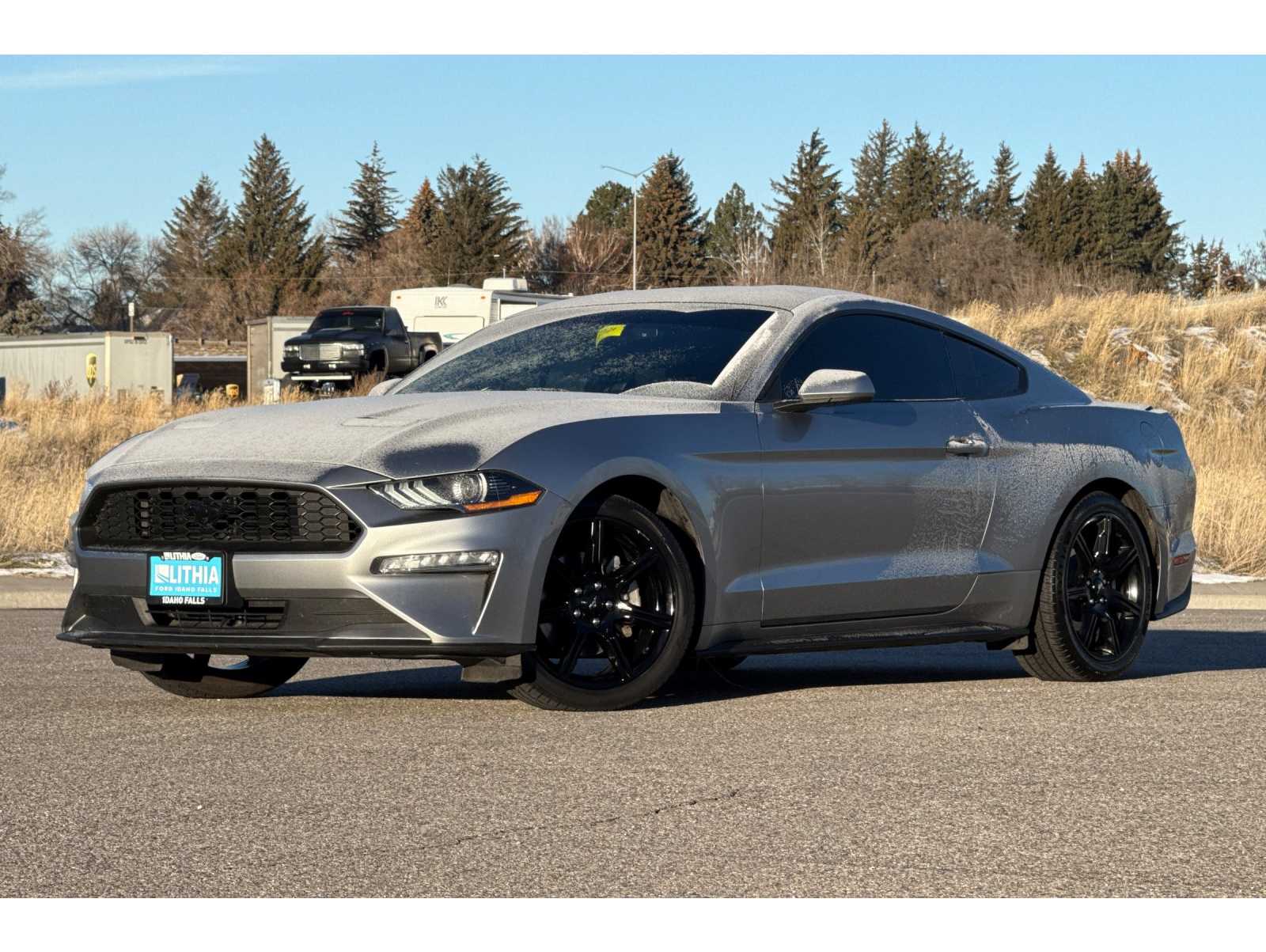 2020 Ford Mustang EcoBoost's photo
