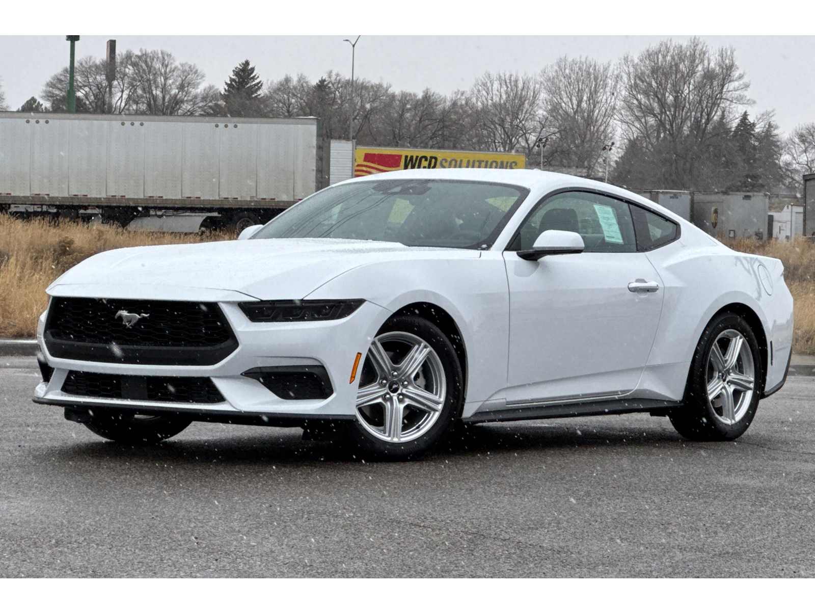 2026 Ford Mustang EcoBoost's photo