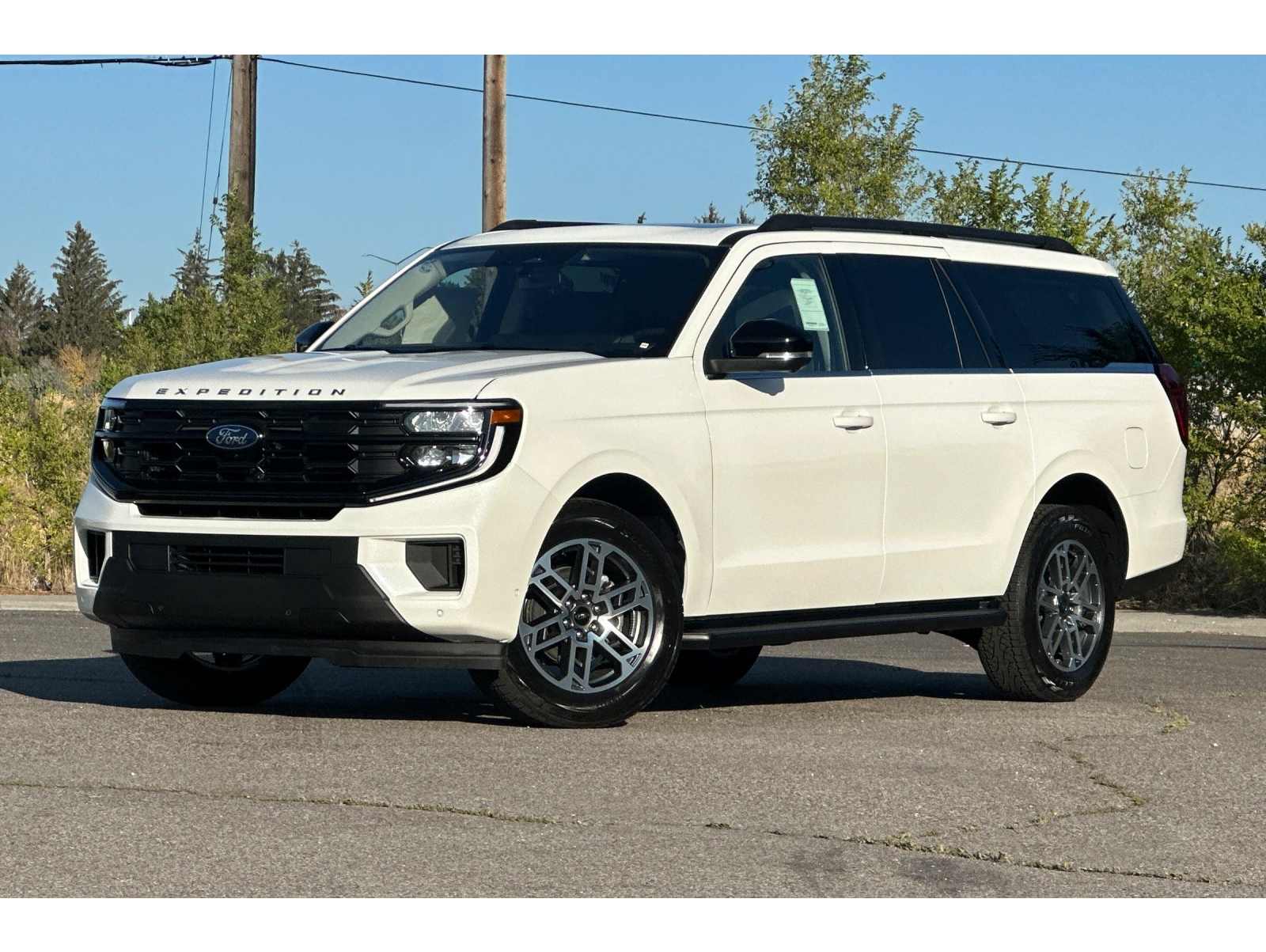 2025 Ford Expedition Active's photo