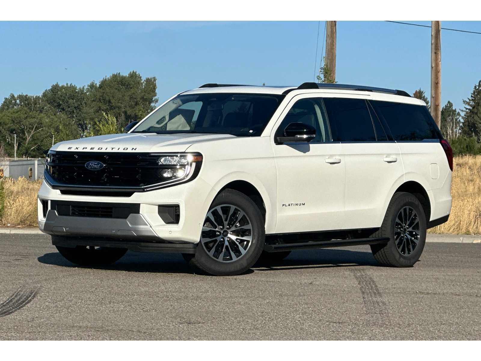 2025 Ford Expedition Platinum's photo