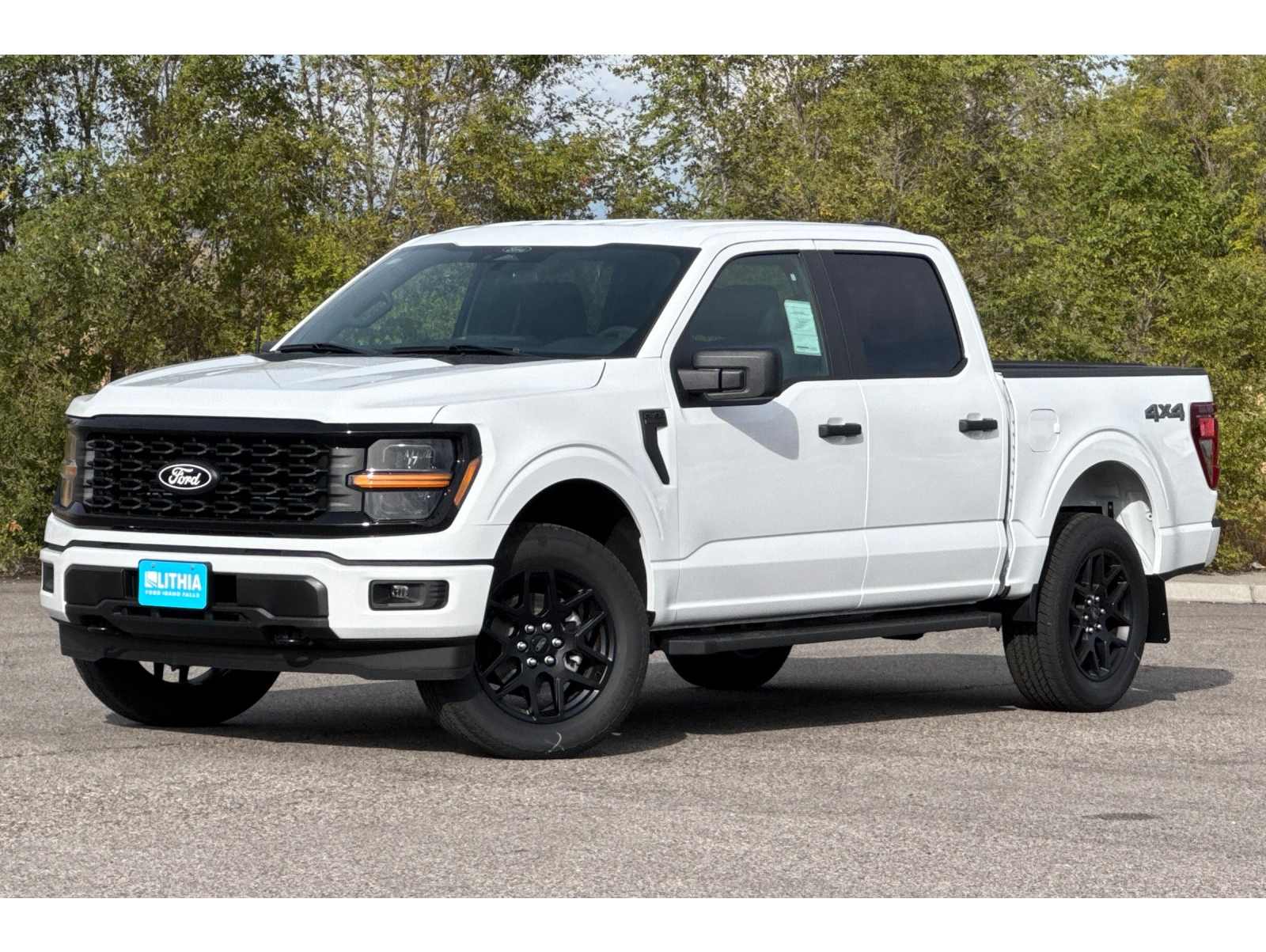 2025 Ford F-150 STX's photo