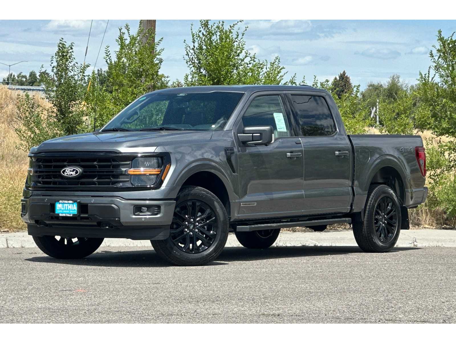 2025 Ford F-150 XLT's photo