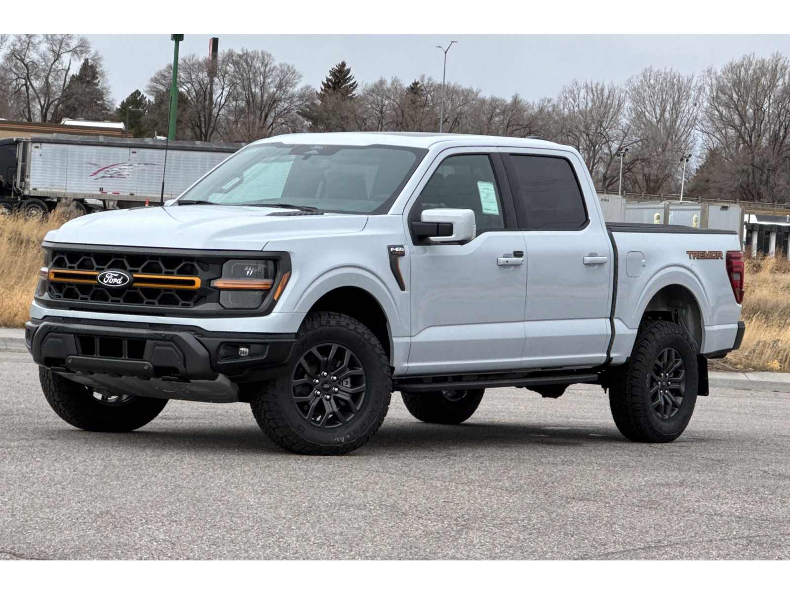 2025 Ford F-150 Tremor's photo