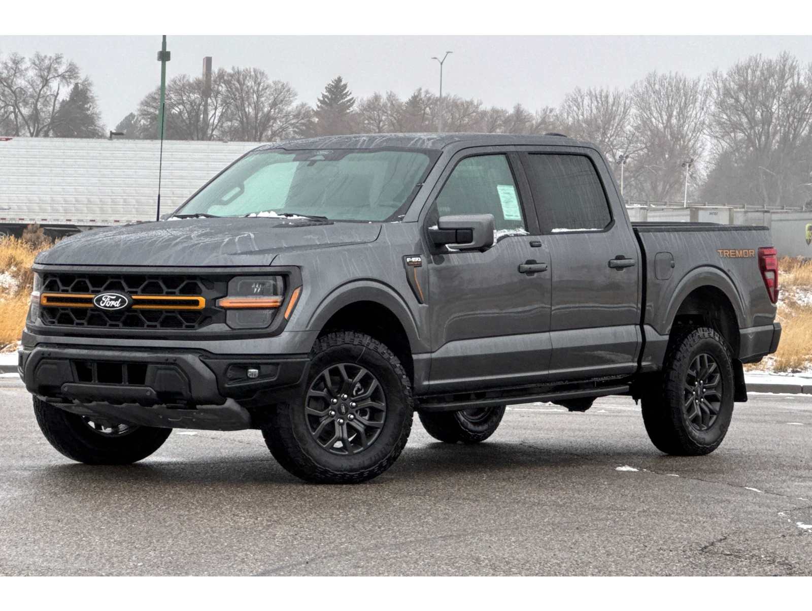 2025 Ford F-150 Tremor's photo