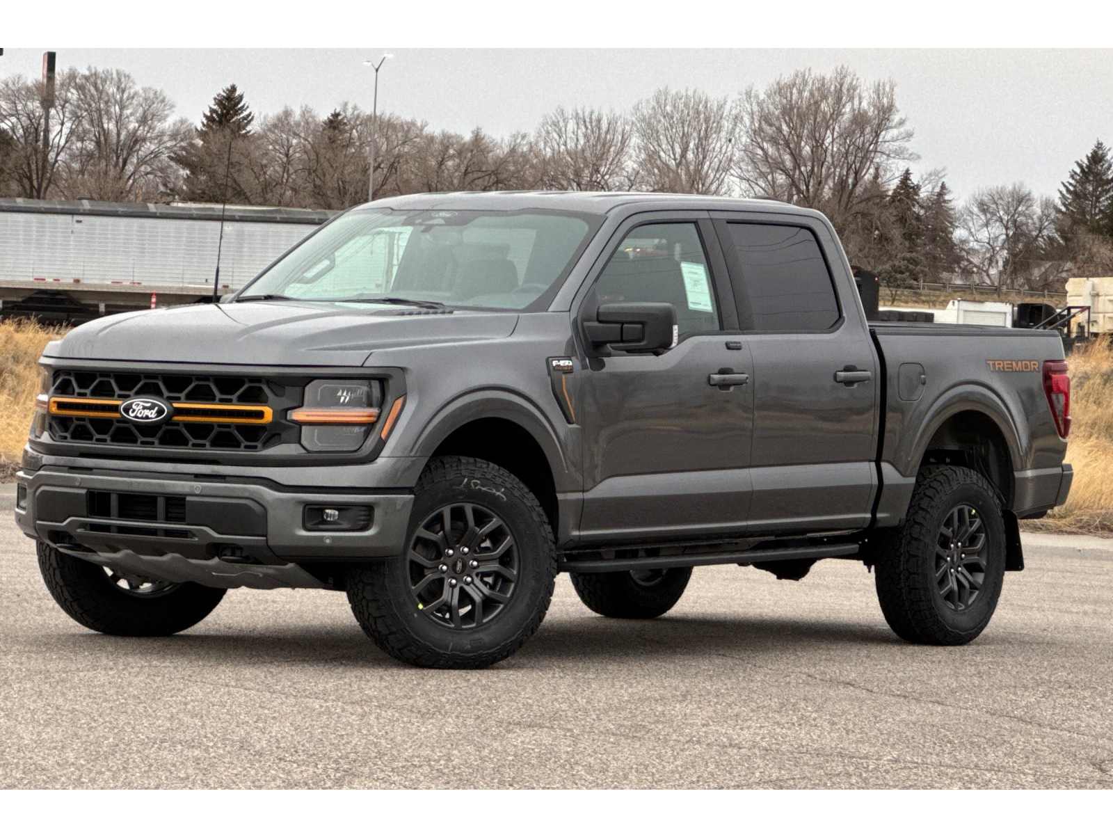 2025 Ford F-150 Tremor's photo