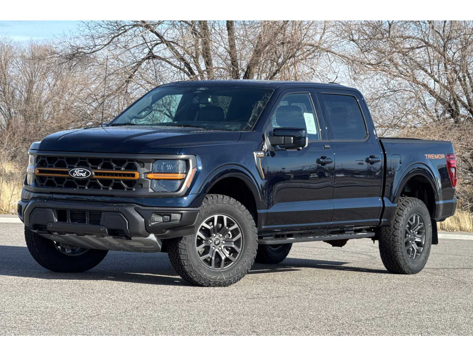 2025 Ford F-150 Tremor's photo