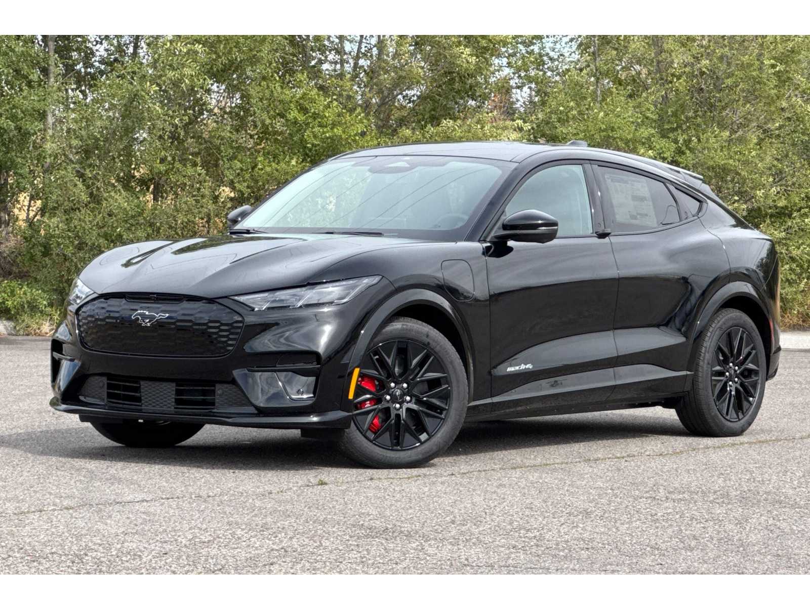 2025 Ford Mustang Mach-E Premium AWD's photo