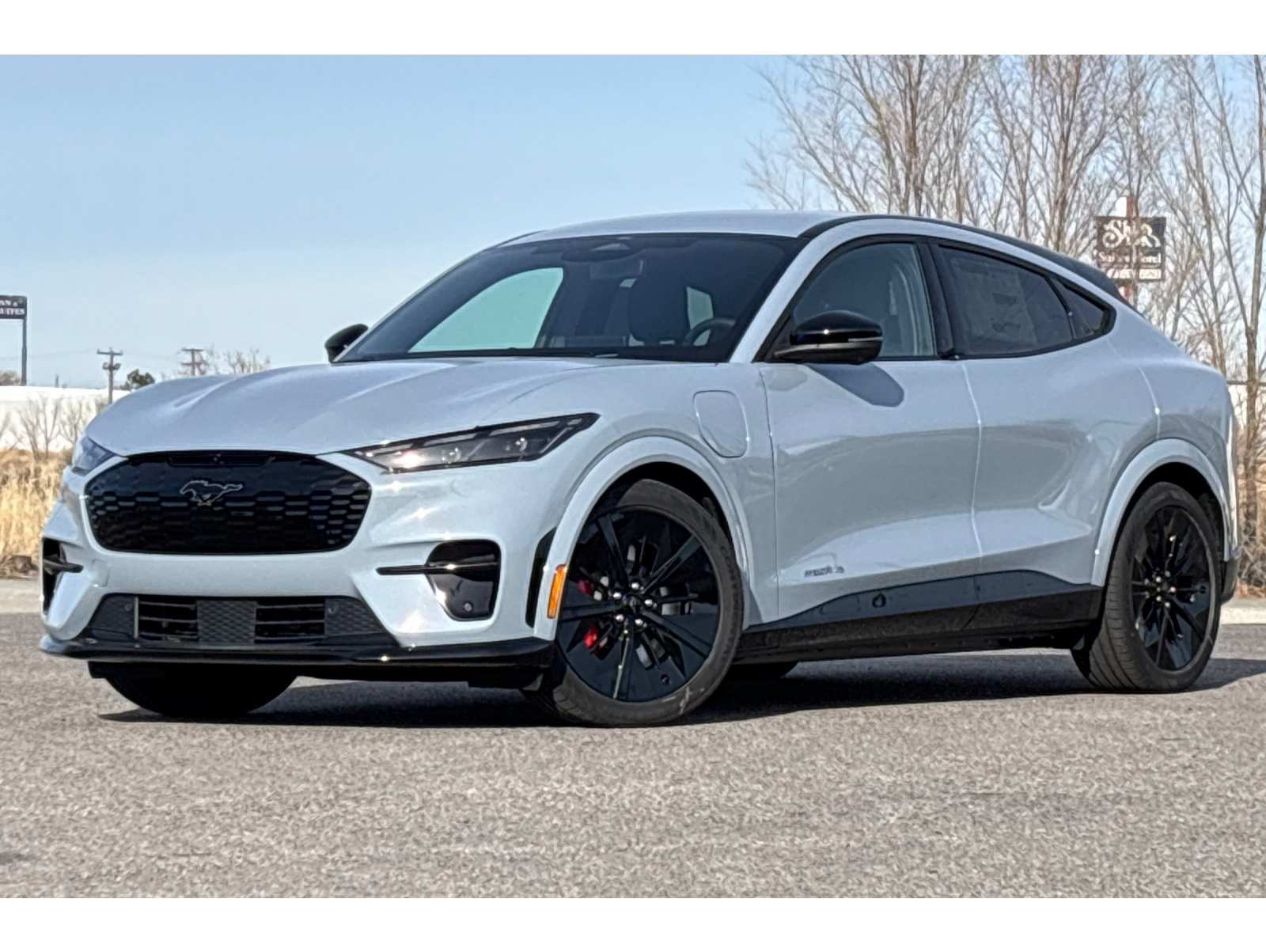 2025 Ford Mustang Mach-E GT AWD's photo