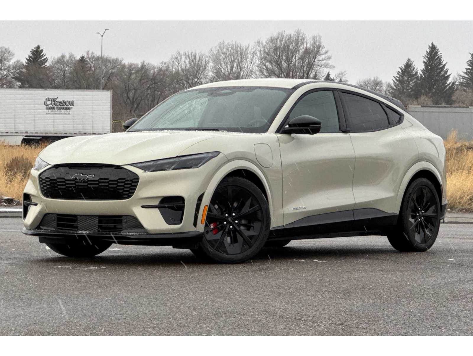 2025 Ford Mustang Mach-E GT AWD's photo