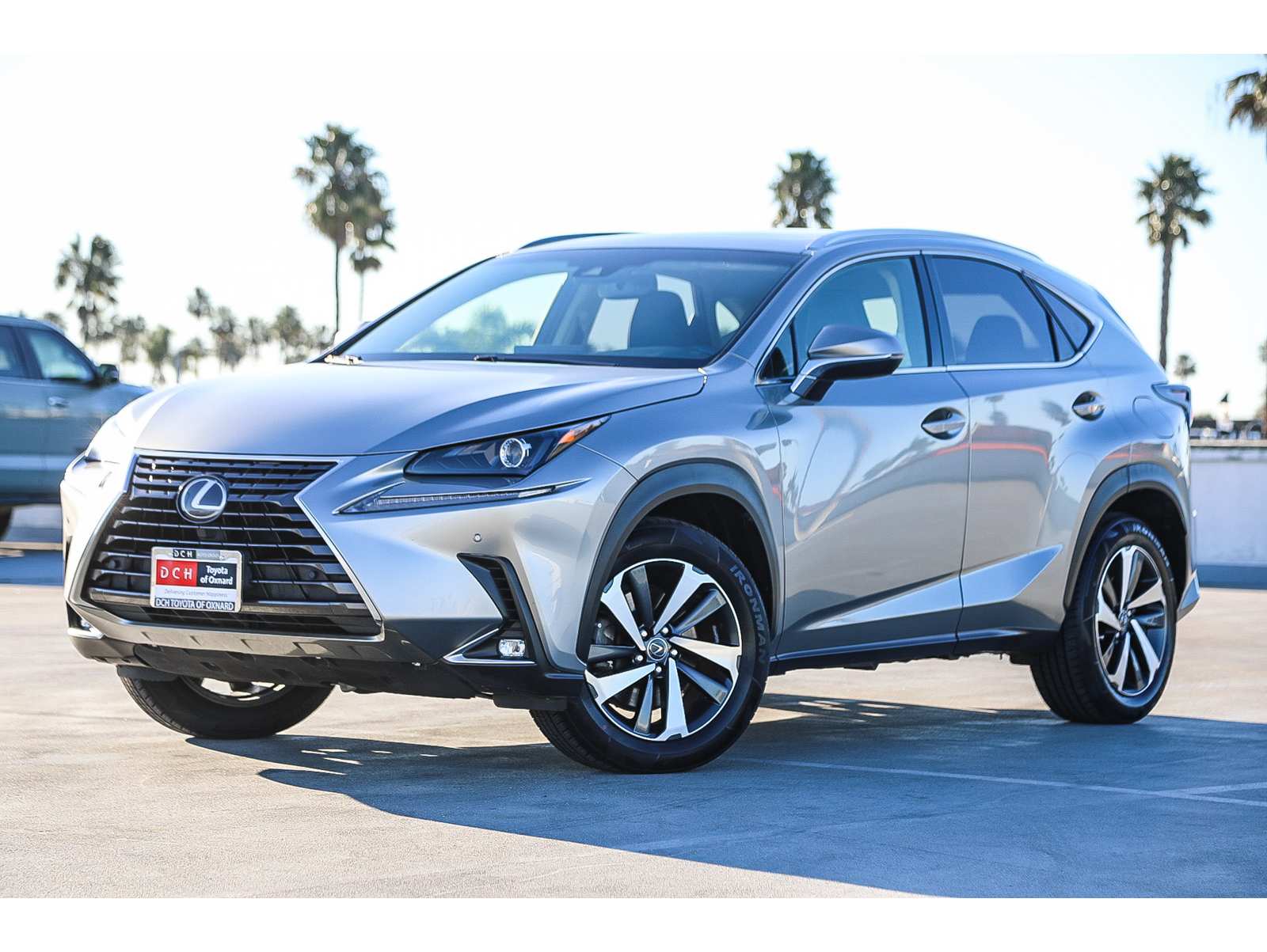 2019 Lexus NX Base's photo