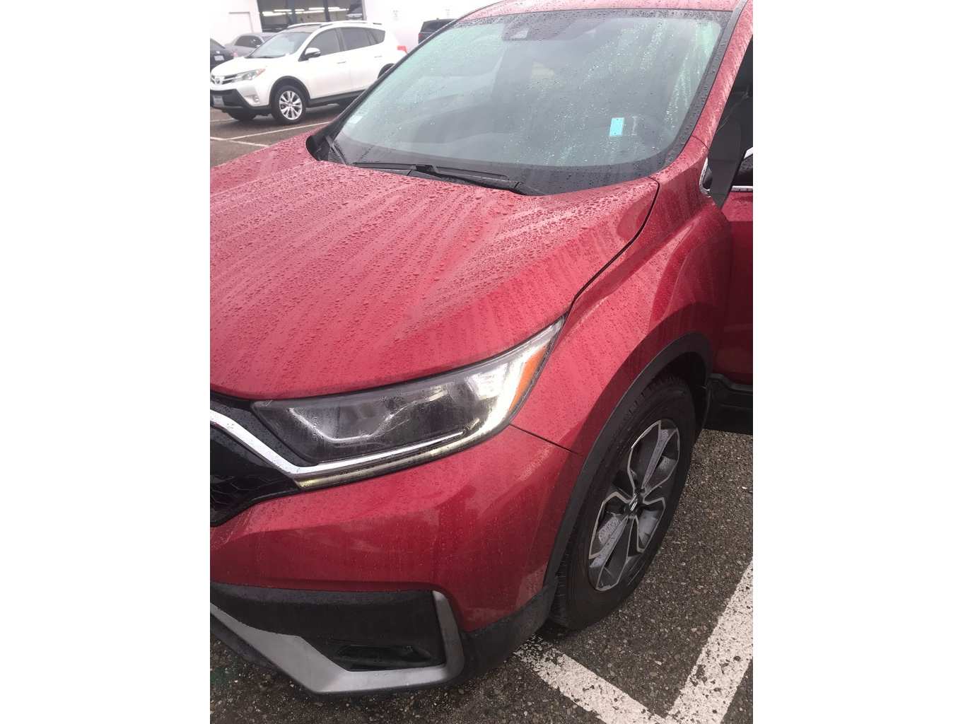 2021 Honda CR-V EX-L's photo