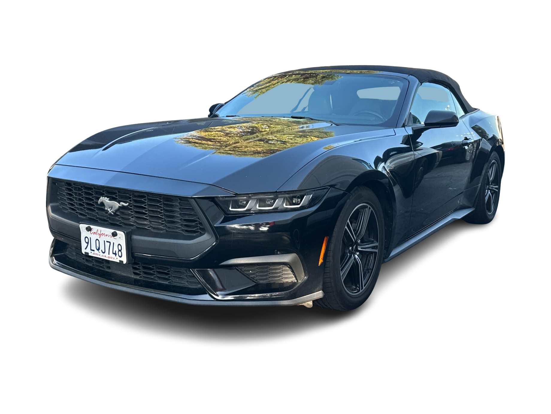 2024 Ford Mustang  -
                  Thousand Oaks, CA