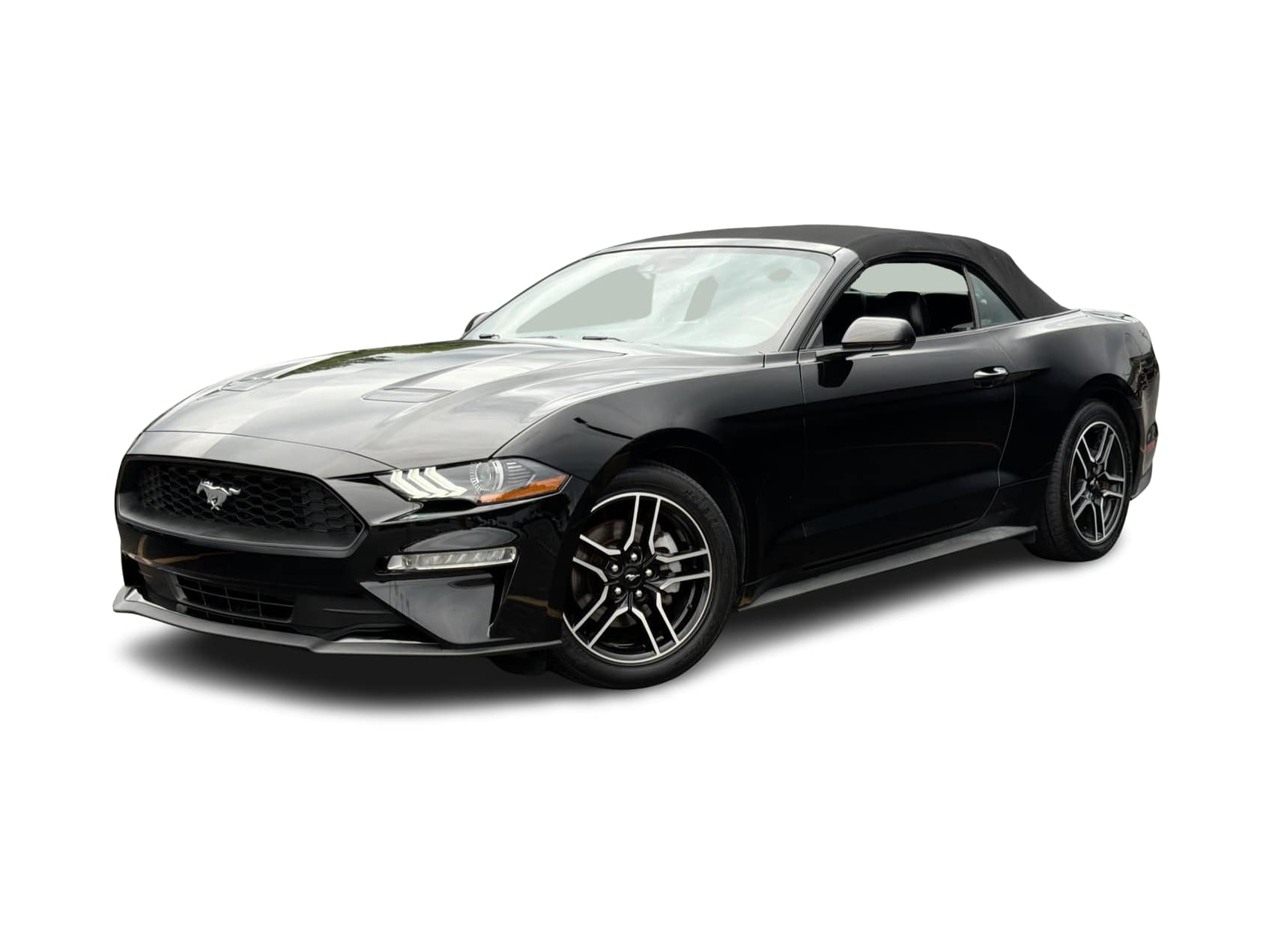 2021 Ford Mustang  -
                  Troy, NY
