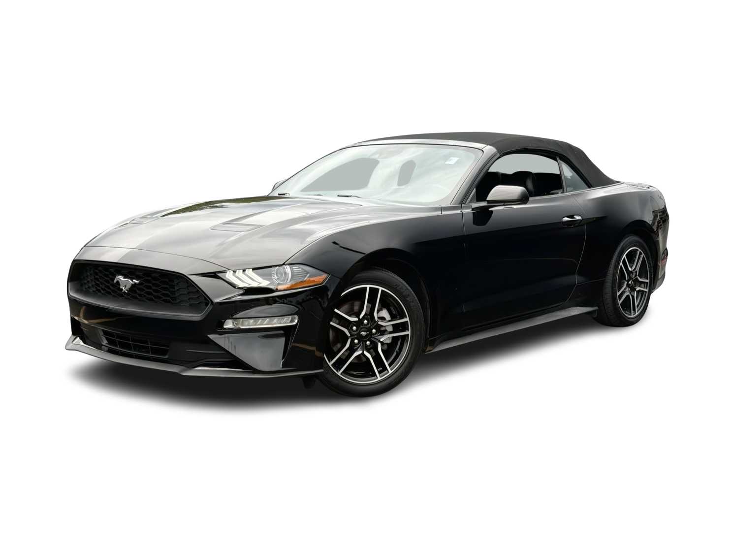 2021 Ford Mustang  -
                  Troy, NY