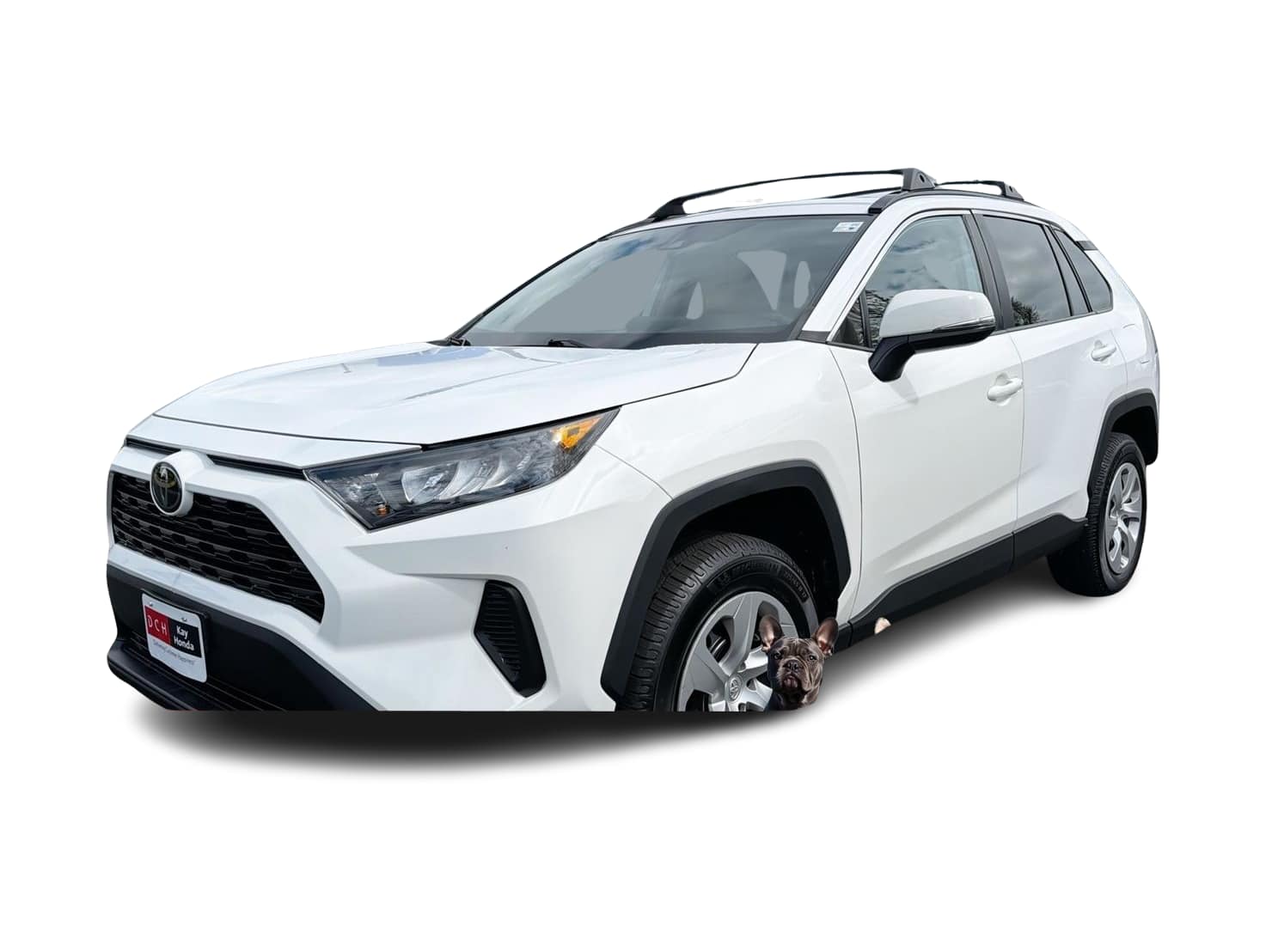 Thumbnail: 2019 Toyota RAV4 - 1