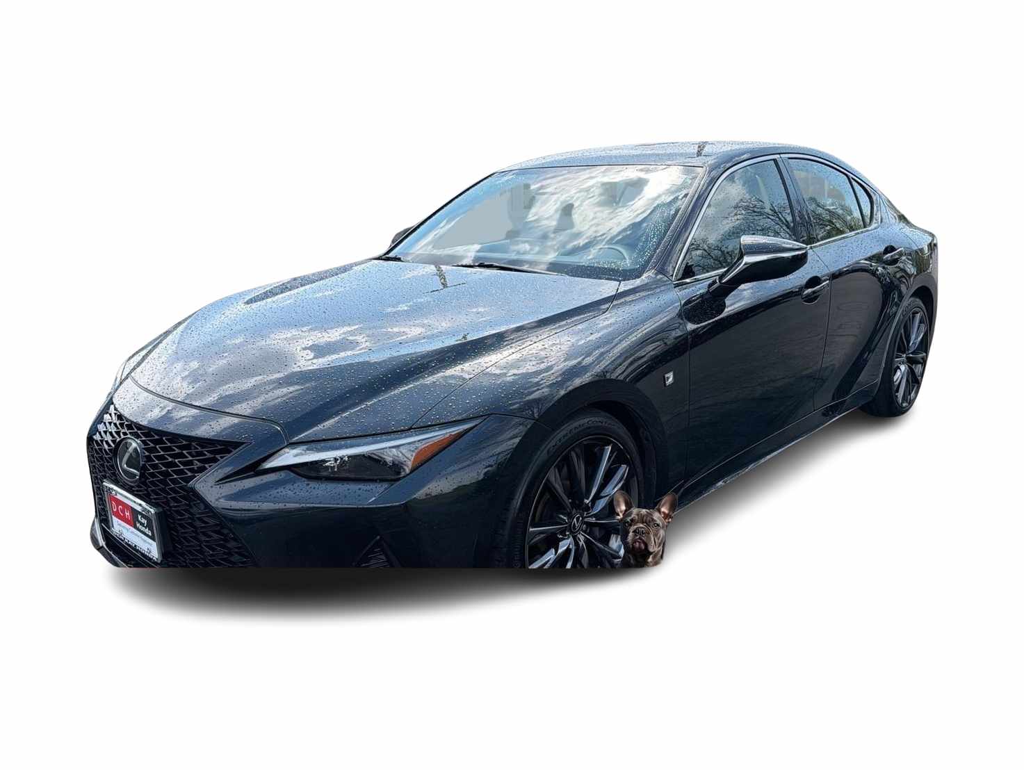 Thumbnail: 2021 Lexus IS - 1