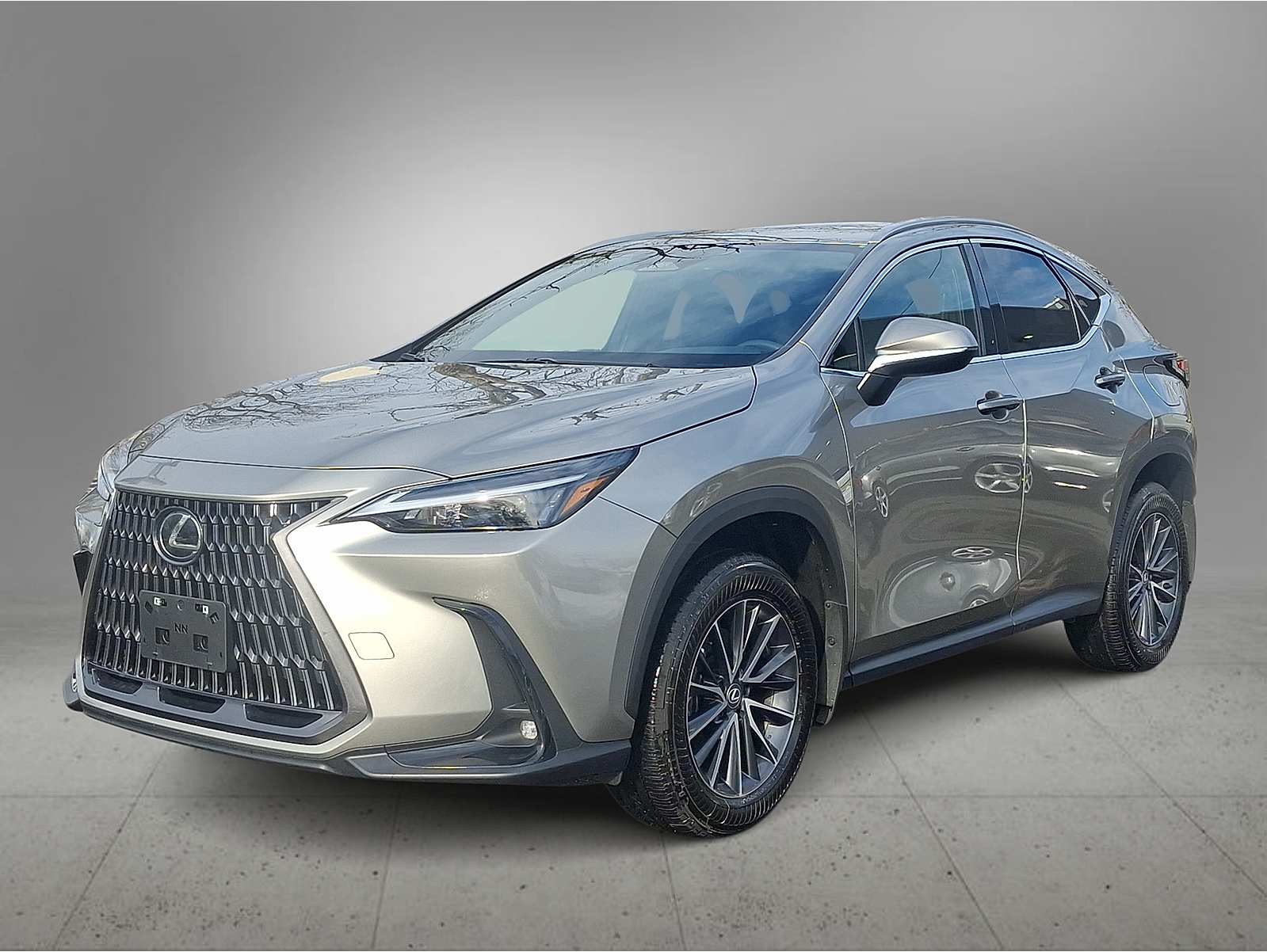 2024 Lexus NX 350's photo