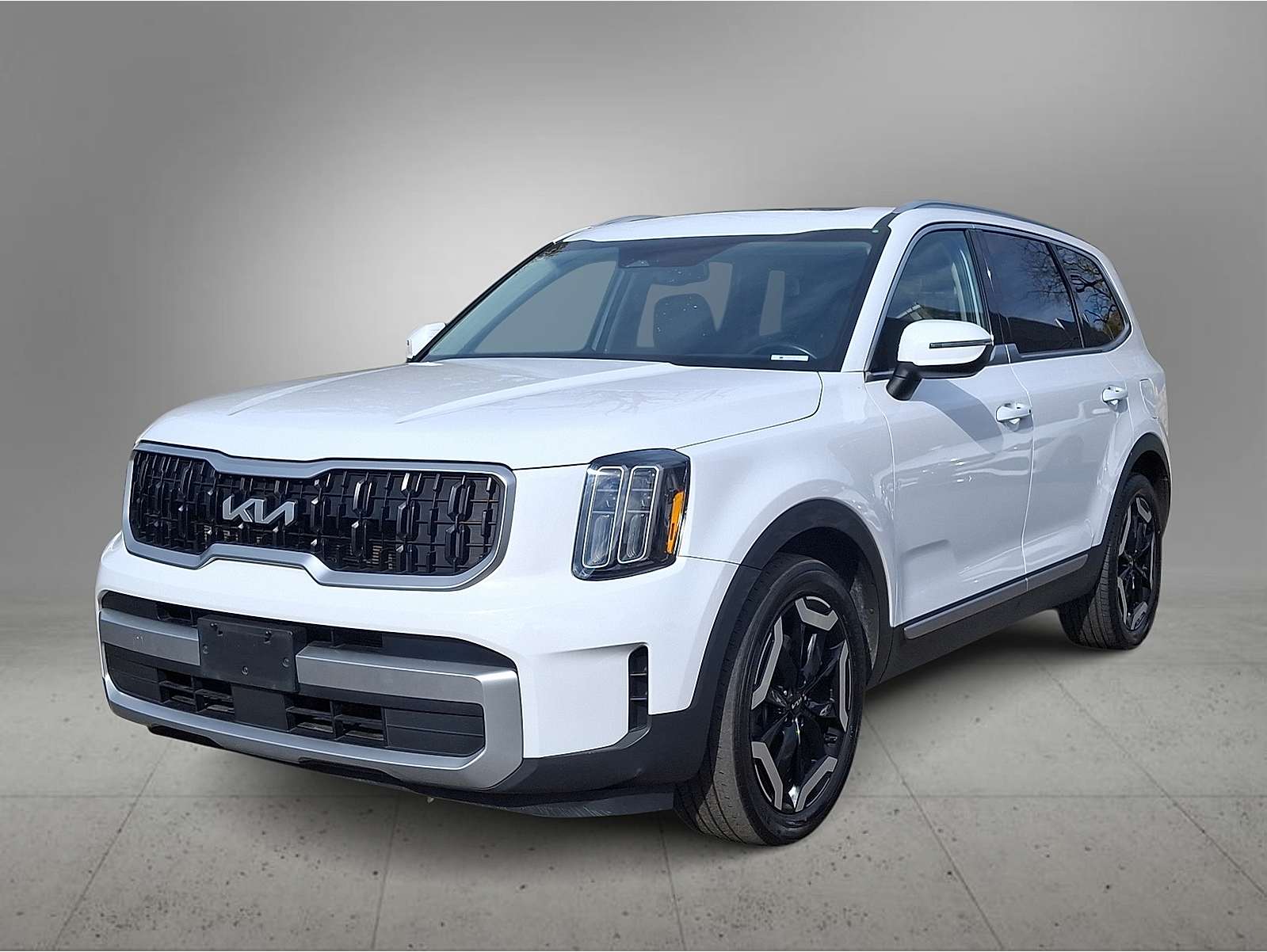 2023 Kia Telluride EX's photo