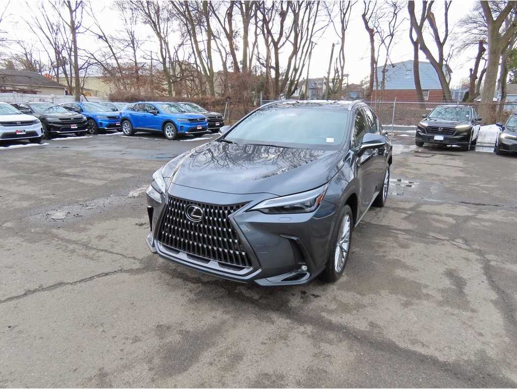 2024 Lexus NX 350's photo