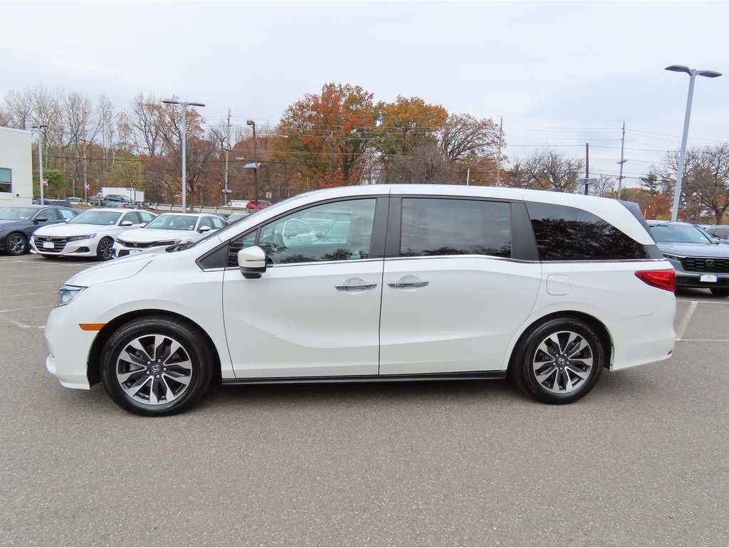 2023 Honda Odyssey EX-L's photo