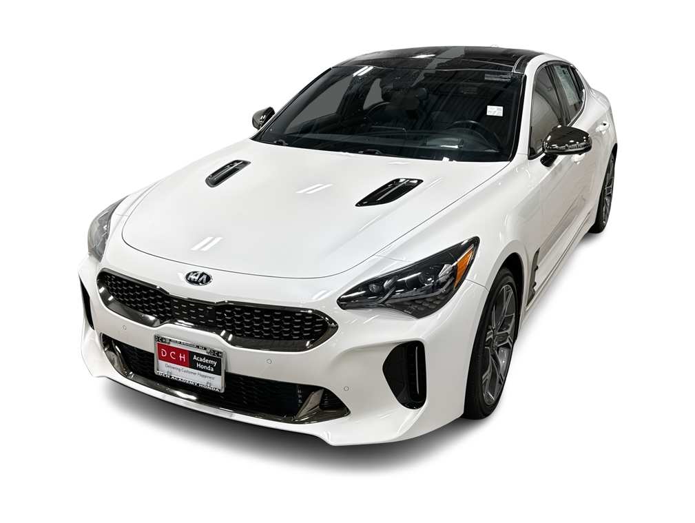 Thumbnail: 2019 Kia Stinger - 1