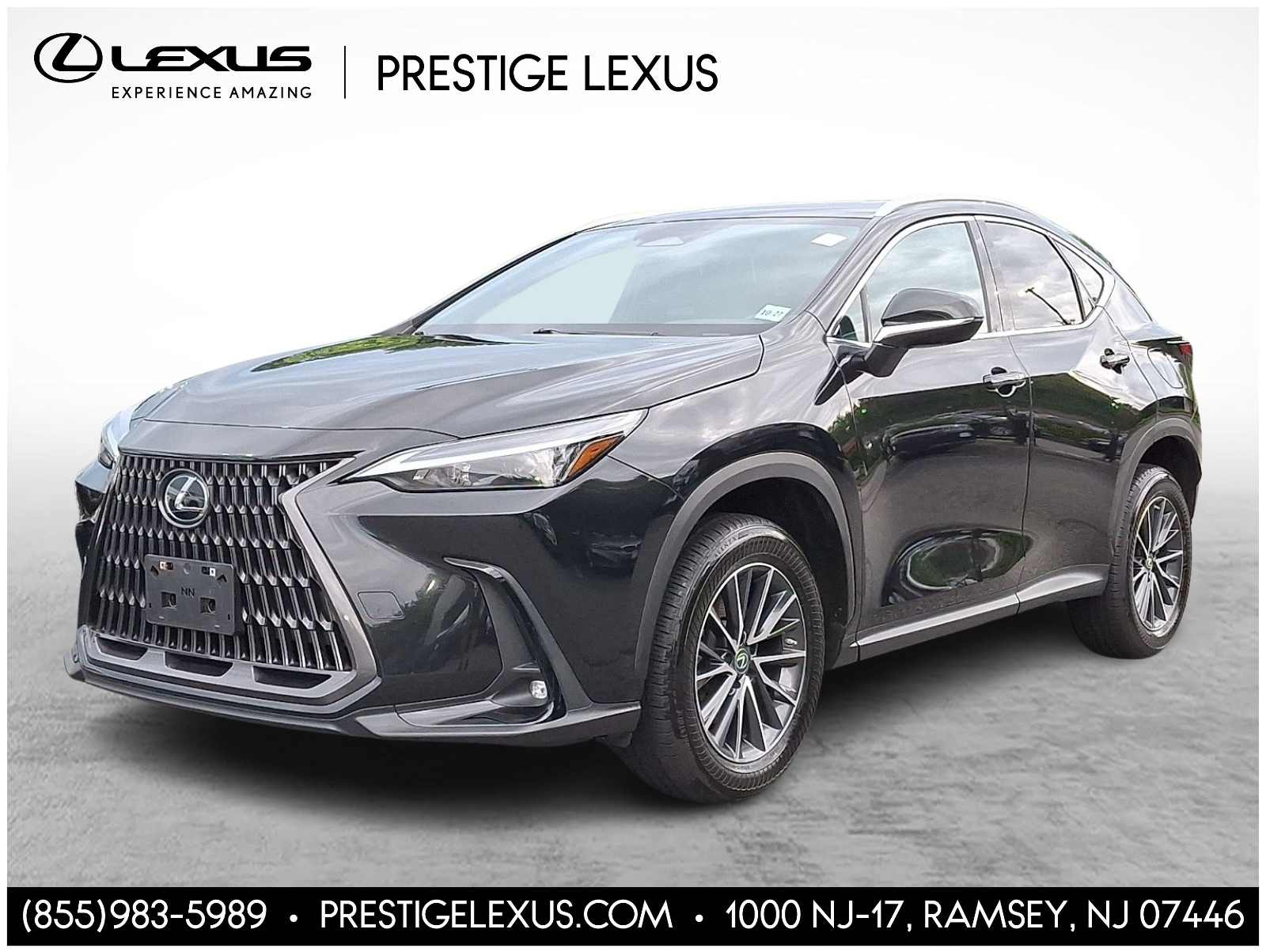 2022 Lexus NX 250