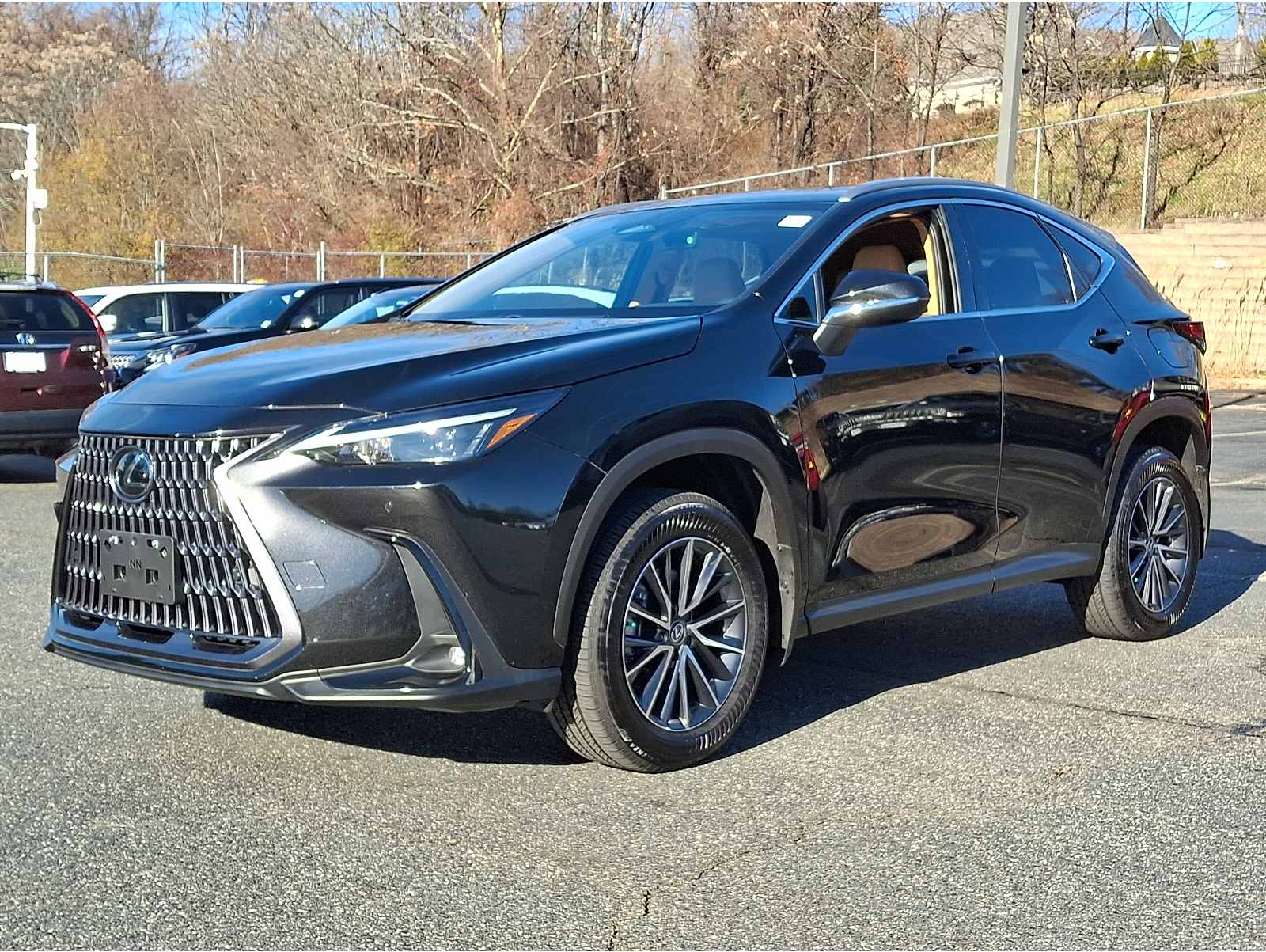 2025 Lexus NX 250's photo