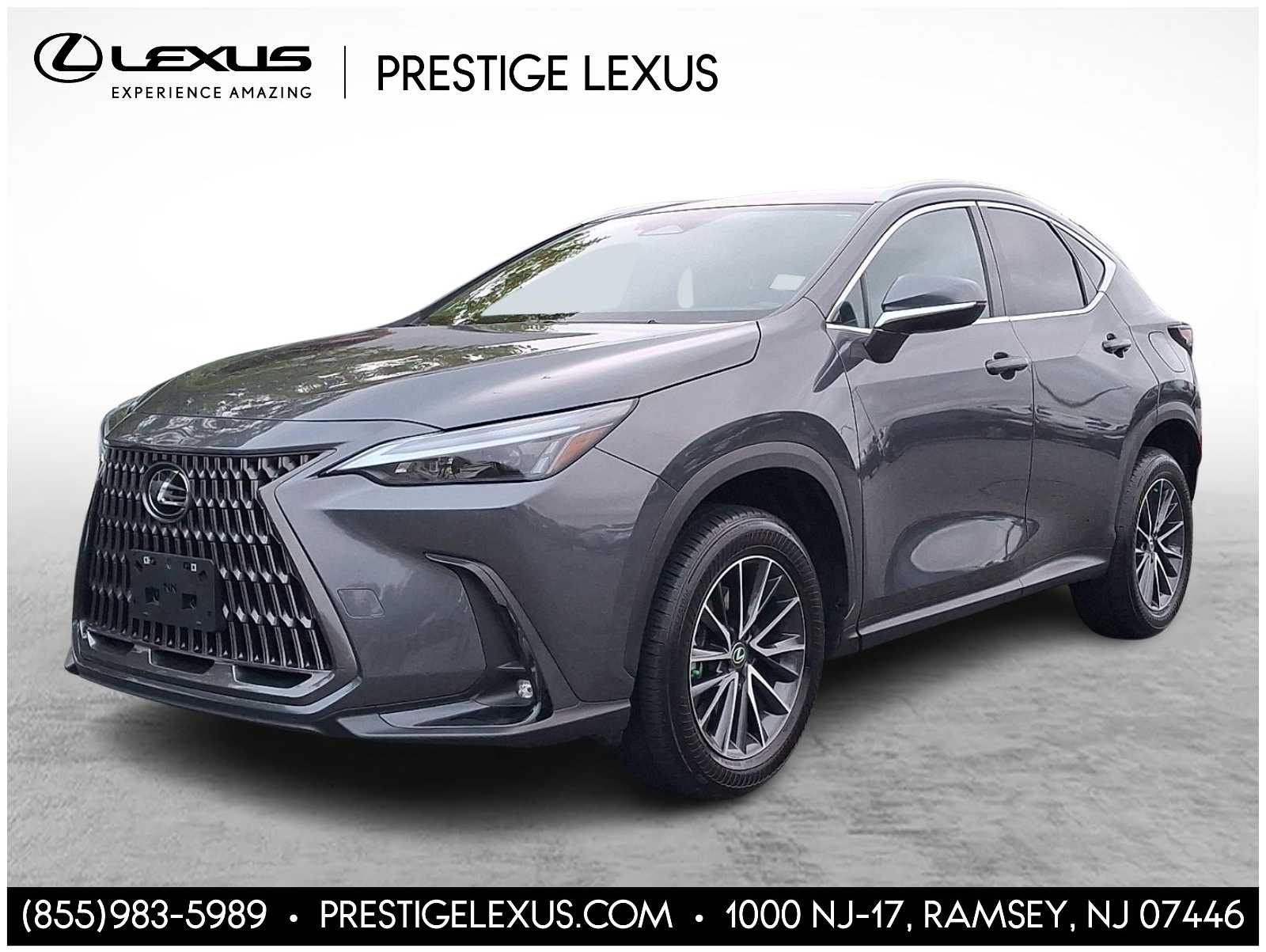 2024 Lexus NX