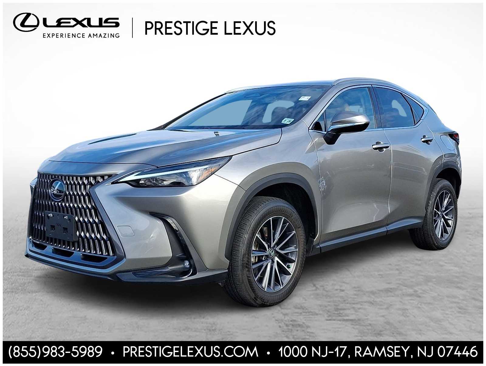 2024 Lexus NX 350