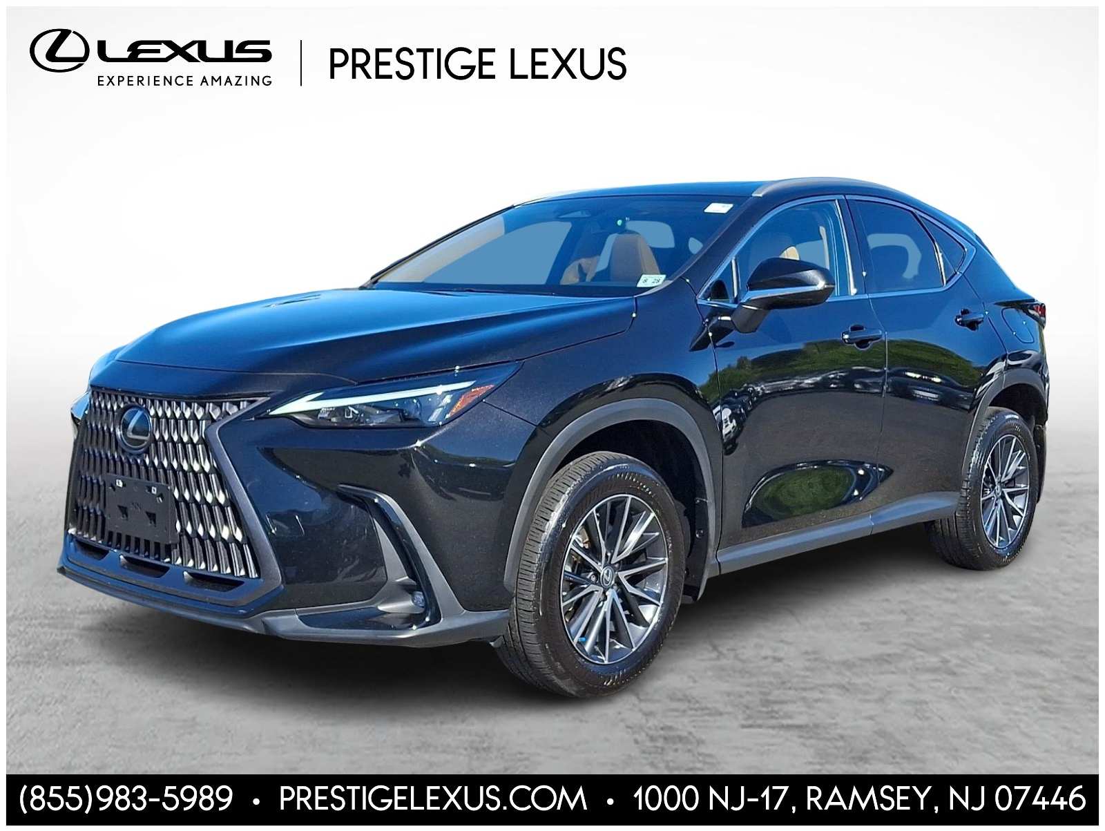 2024 Lexus NX