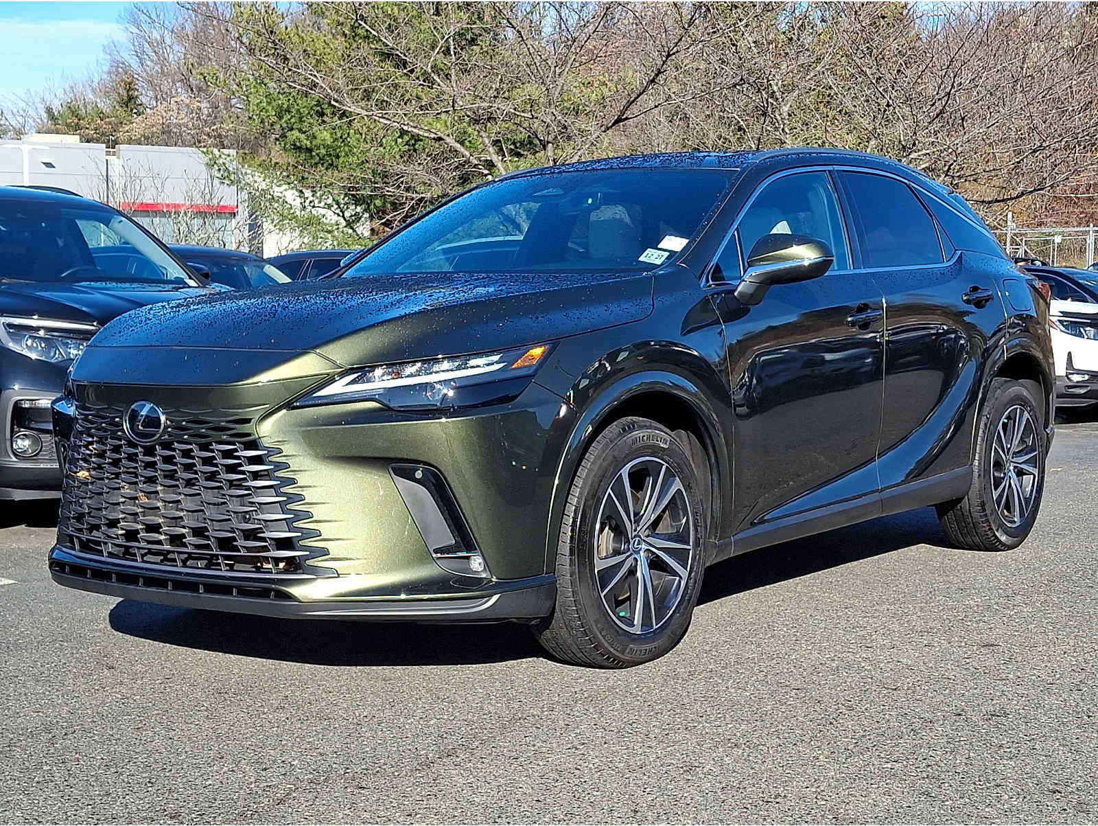 2023 Lexus RX 350's photo