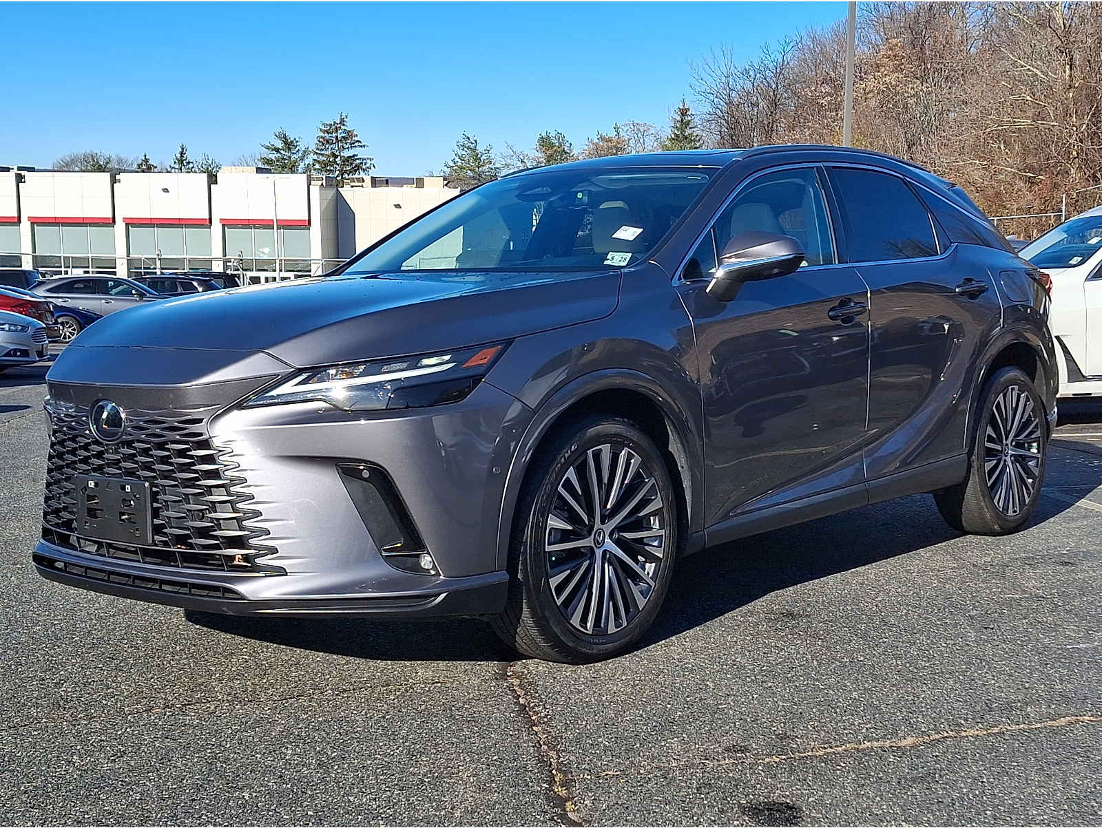2023 Lexus RX 350's photo