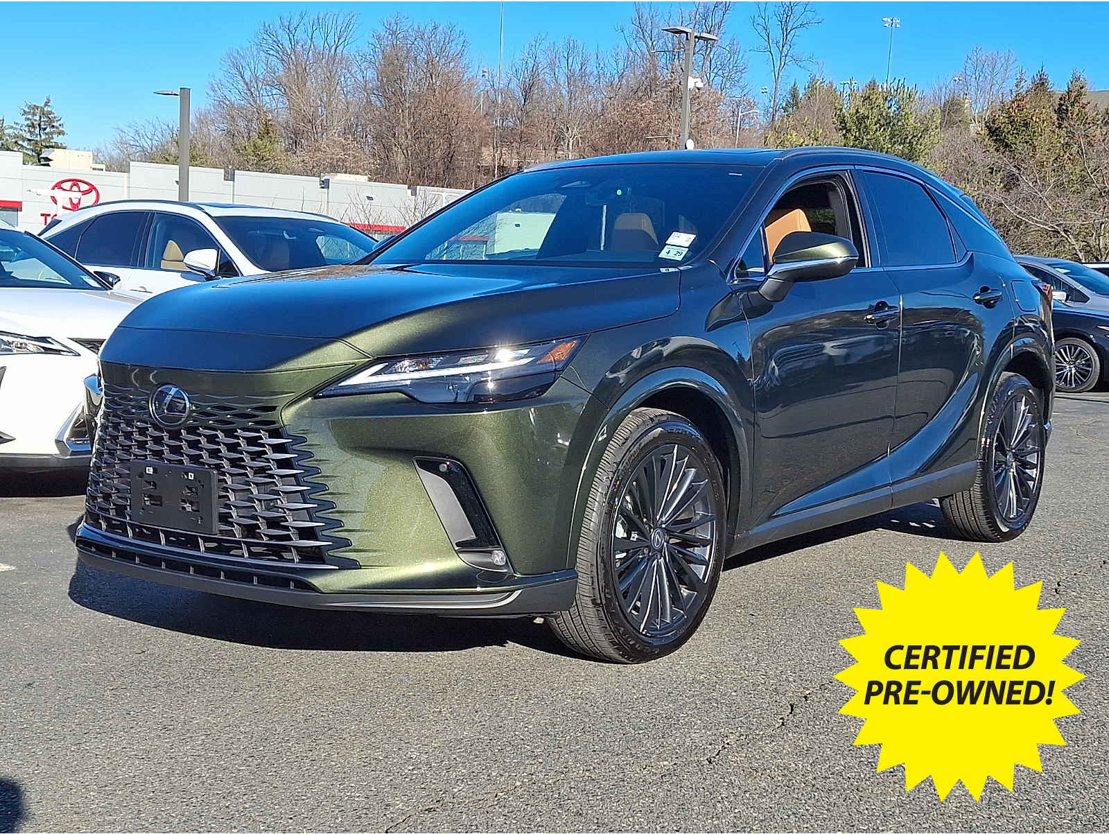 2025 Lexus RX Base's photo