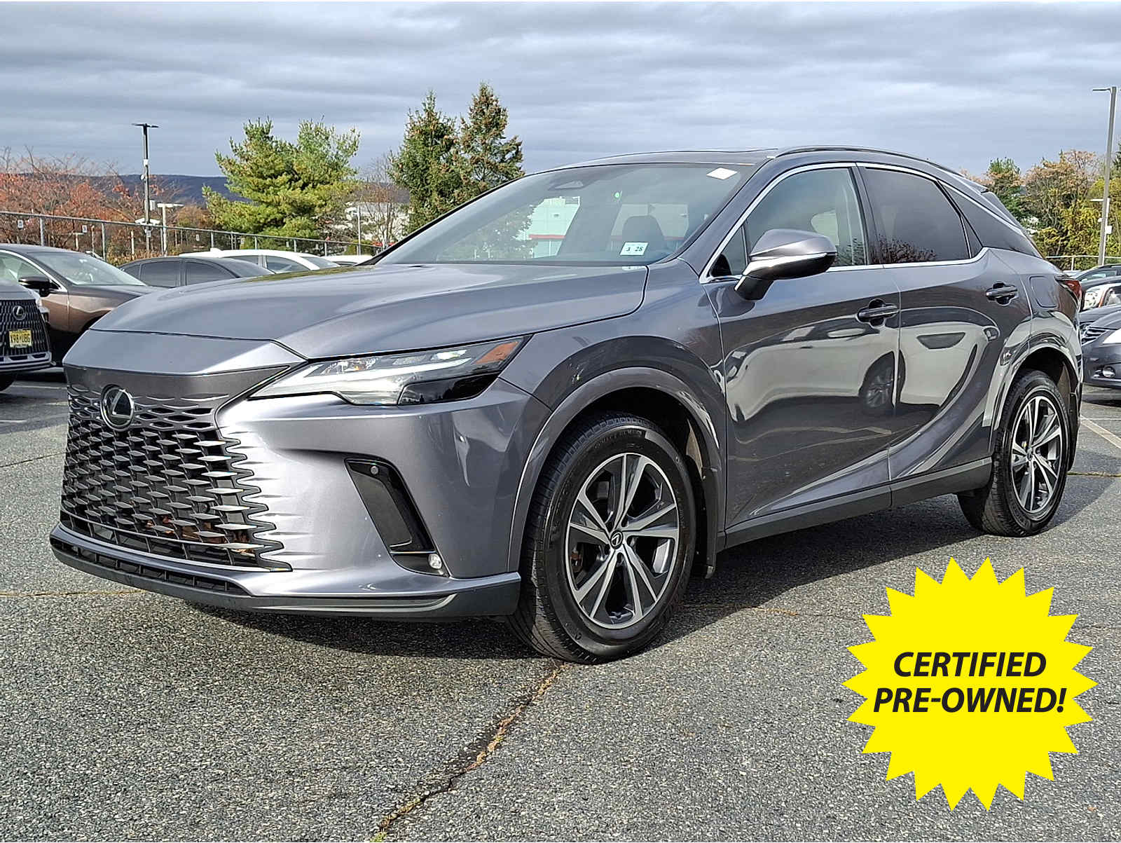 2023 Lexus RX 350's photo