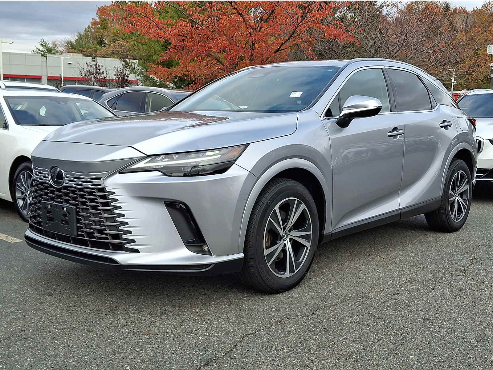 2023 Lexus RX 350's photo