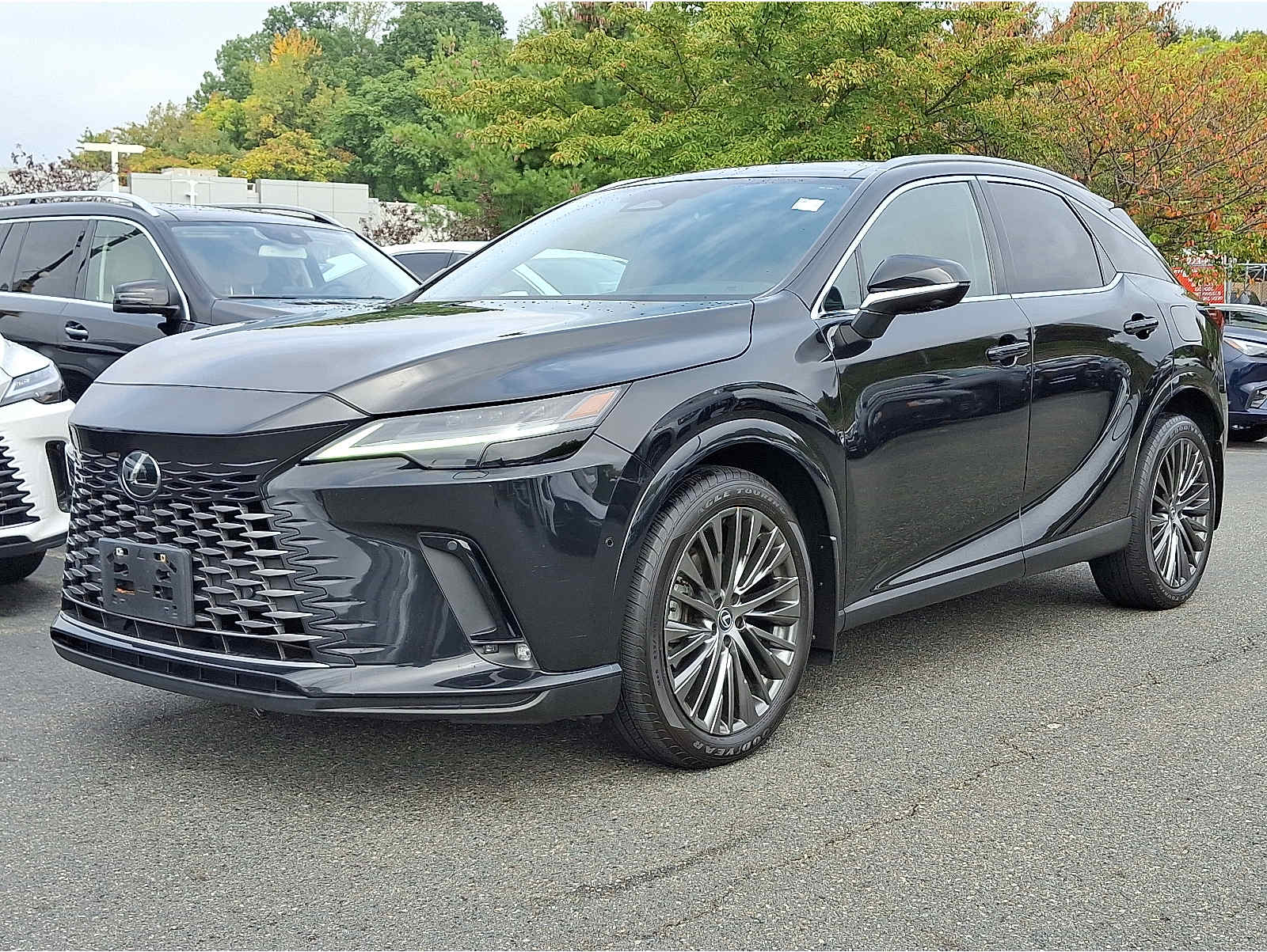 2023 Lexus RX 350's photo