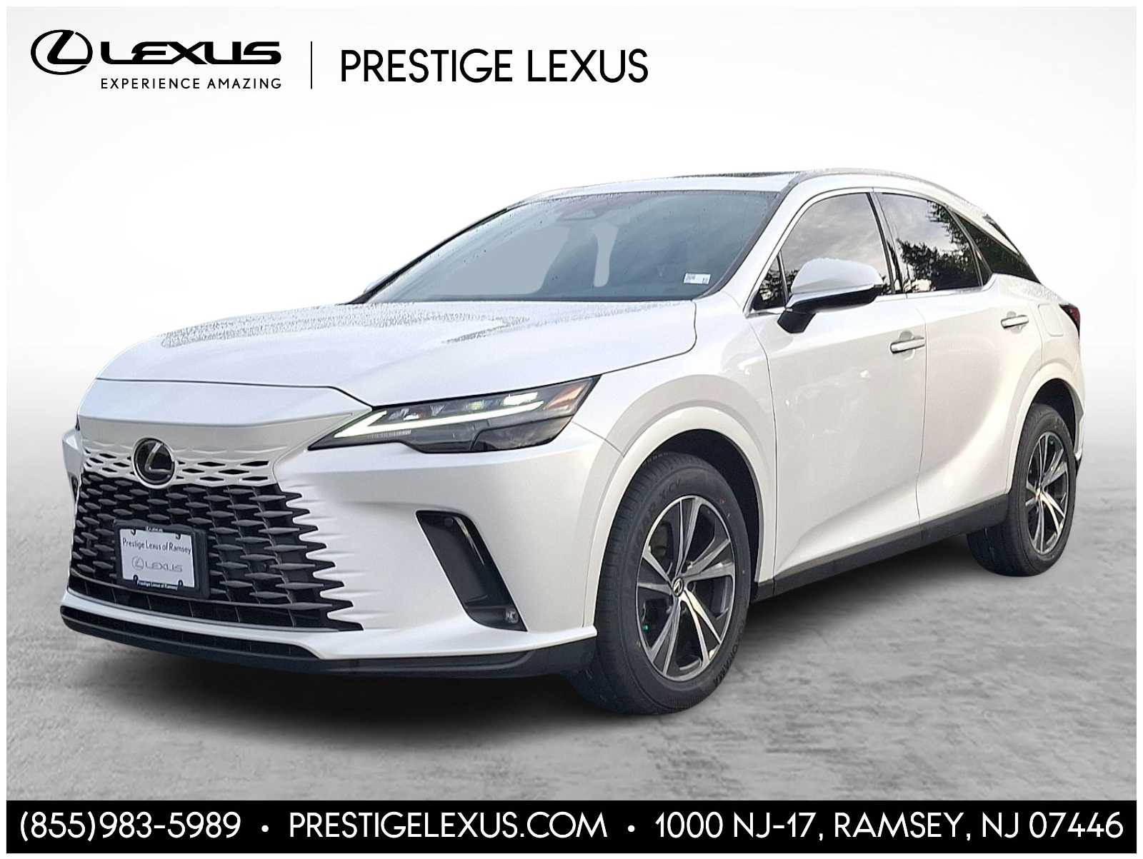 2024 Lexus RX