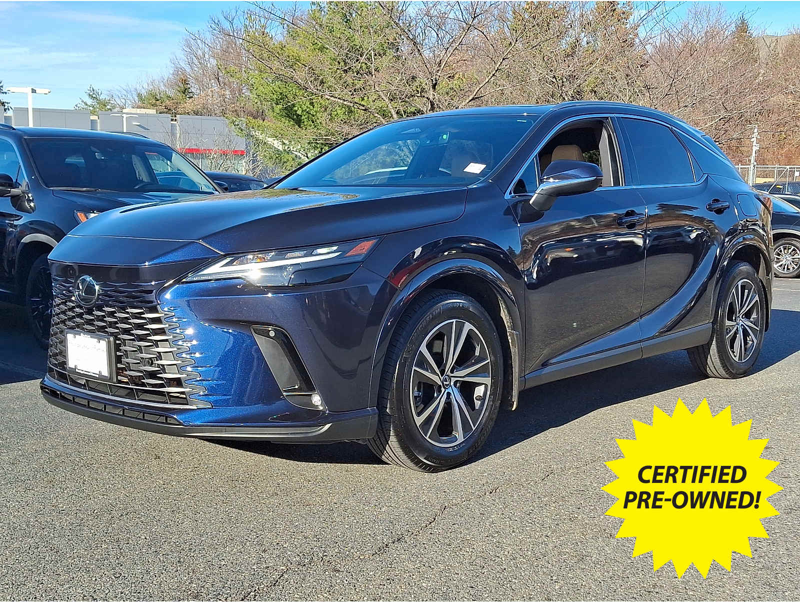 2024 Lexus RX 350's photo