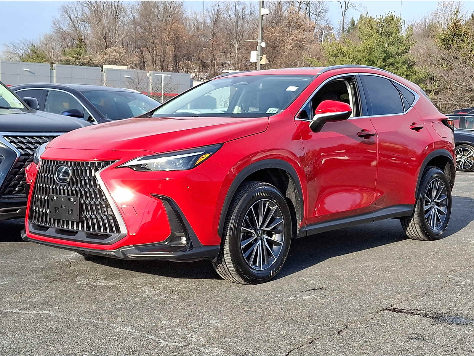 2023 Lexus NX 350's photo