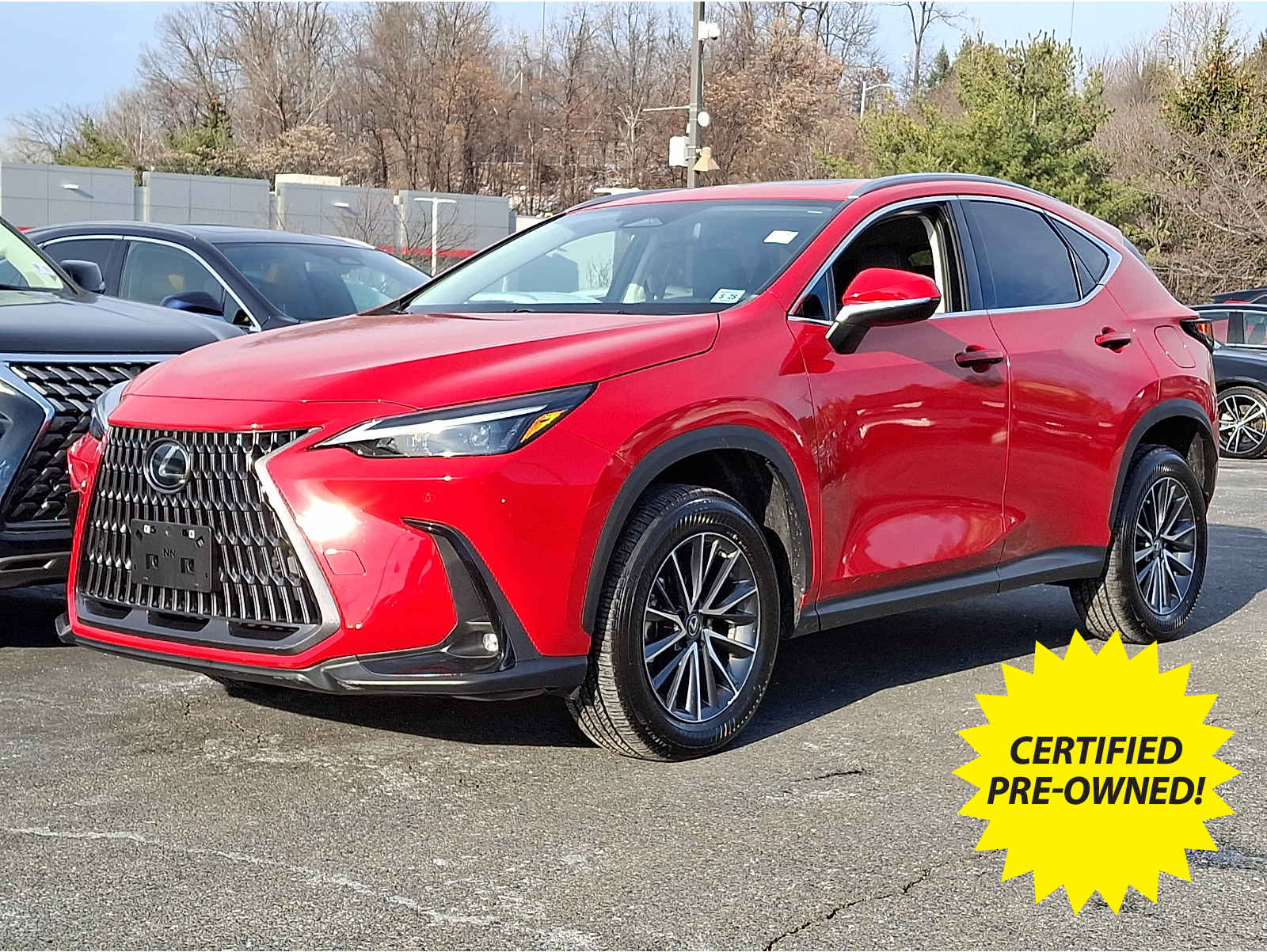 2023 Lexus NX 350's photo