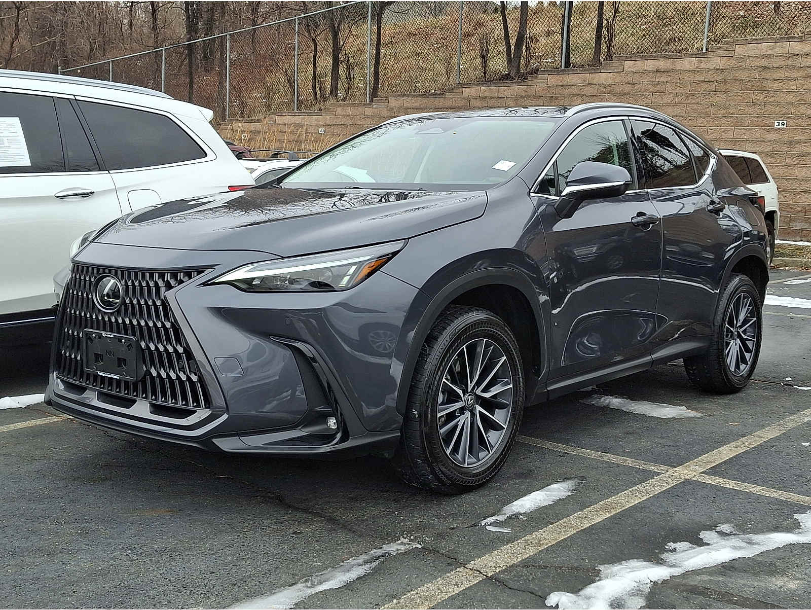 2023 Lexus NX 350's photo