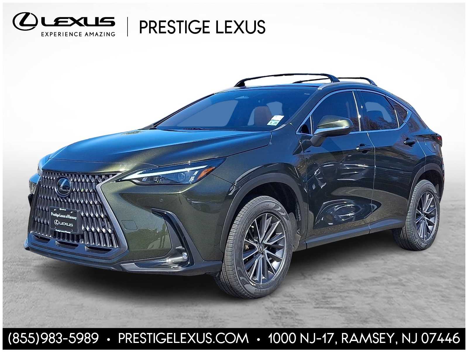 2023 Lexus NX 350